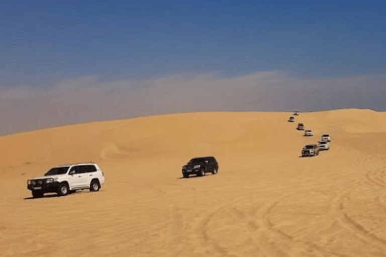 Safari dans le désert à Doha, visite partagée au départ de la croisière commentée