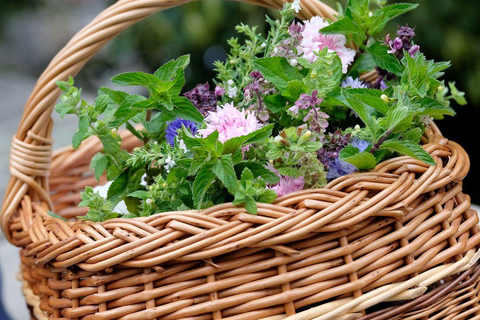 Meißen: Guided Walking Tour 'Romantic Evening Stroll'