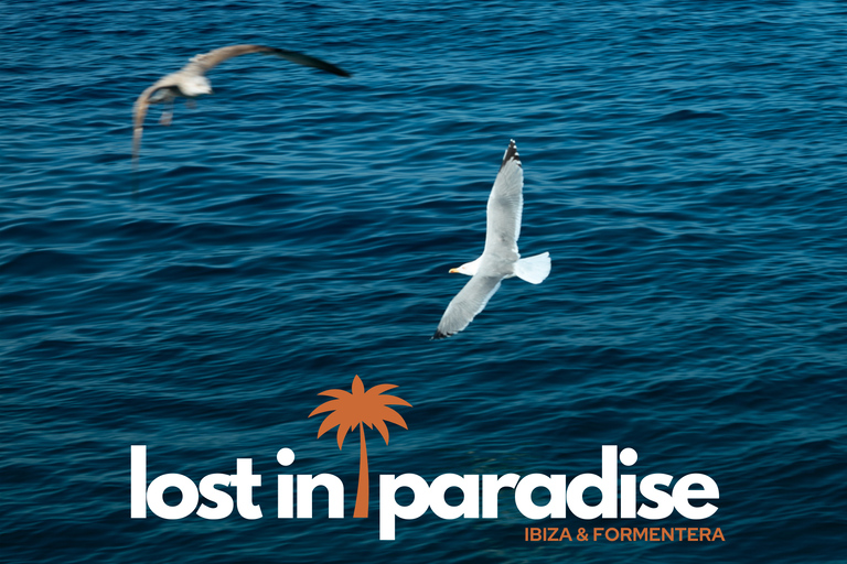 Ibiza: Formentera Boat Trip with Food, Drinks, & Bike Tour All- Inclusive Boat&Bike Tour in Formentera I Origin Edition