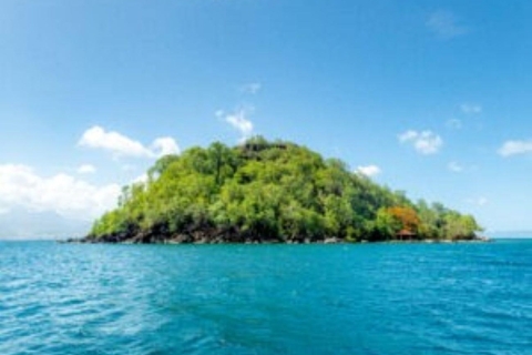 Martinique : Croisière d'une demi-journée sur les dauphins et les volcans