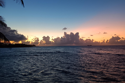 Vieques Adventure by Ferry from Ceiba. Vieques Adventure Full Day by Ferry.