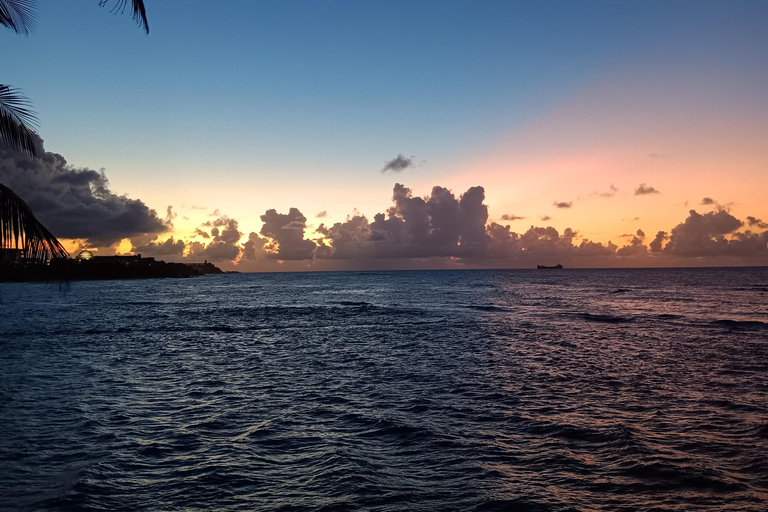 Vieques Adventure by Ferry from Ceiba. Vieques Adventure Full Day by Ferry.