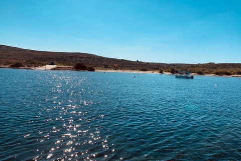 Mellieha: paseo en barco por Comino, cuevas y laguna azulMellieha: Paseo en barco por Comino, Cuevas y Laguna Azul