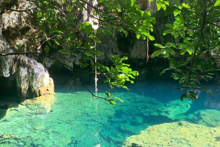 Zanzibar: Halvdagsutflykt till Maalum-grottanPrivat tur från Paje, Kizimkazi, Michanvi, Jambiani