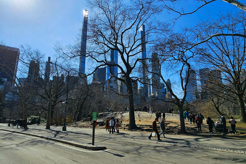 Begeleide luxe fietstocht in Central ParkRondleiding met deluxe fietstaxi in Central Park