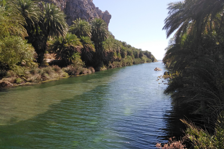 Z Rethymno: Kourtaliotiko, Preveli Palm Beach i Damnoni