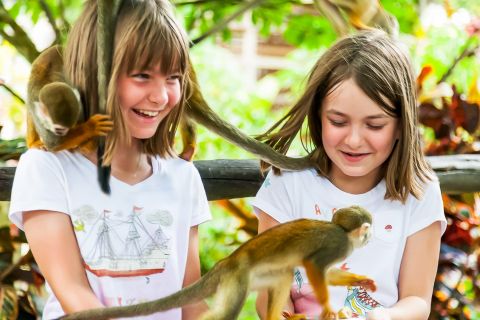 Punta Cana: safari de medio día por Monkey Land