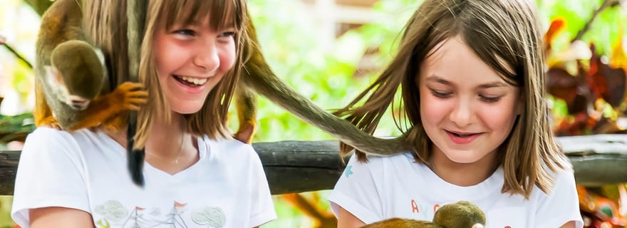 Punta Cana : Safari d'une demi-journée à la Terre des singes et plantation