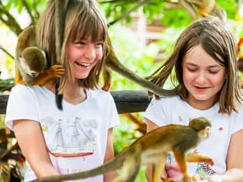 Punta Cana: Affenland Halbtagssafari und Plantage