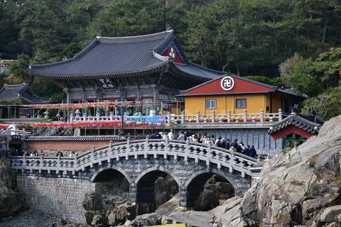 Busan: Top Attractions Tour for Cruise Guests For Busan Cruise Guest Highlight Top Attraction Group Tour