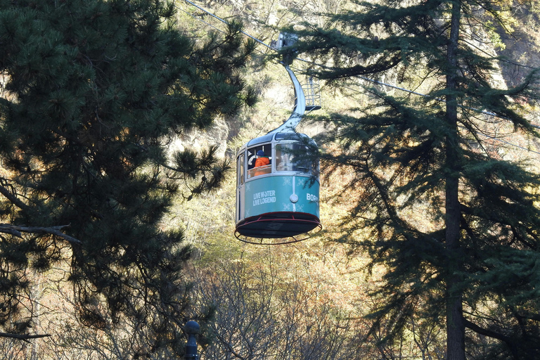 Borjomi Bakuriani Day Group Tour Without Guide