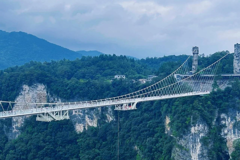 Zhangjiajie 3-Day Tour: Tea Garden, National Forest Park