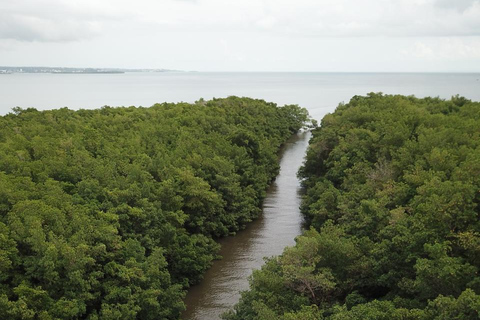 Guadeloupe: Boat Day Trip for Cruise Ship Passengers. Cruise Ship Friendly Guadeloupe: Day Trip by Boat for Cruise Passengers. Cruise Ship Friendly