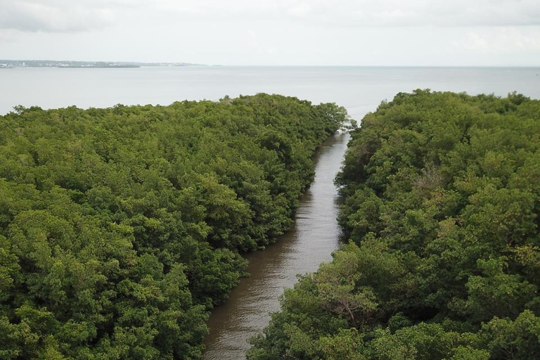 Guadeloupe: Boat Day Trip for Cruise Ship Passengers. Cruise Ship Friendly Guadeloupe: Day Trip by Boat for Cruise Passengers. Cruise Ship Friendly
