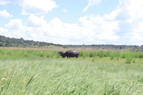 Kasane: Chobe National Park Game Drive and Boat Cruise