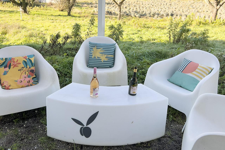 San Miniato: esperienza di degustazione di vino e olio extravergine di oliva biologiciSan Miniato: degustazione di vino e olio extravergine biologici