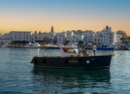Monopoli: Bootstour ...