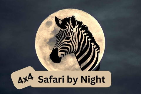 Victoria Falls : Nachtelijke safari in 4x4 rond Vic FallsPrivésafari bij nacht 4x4