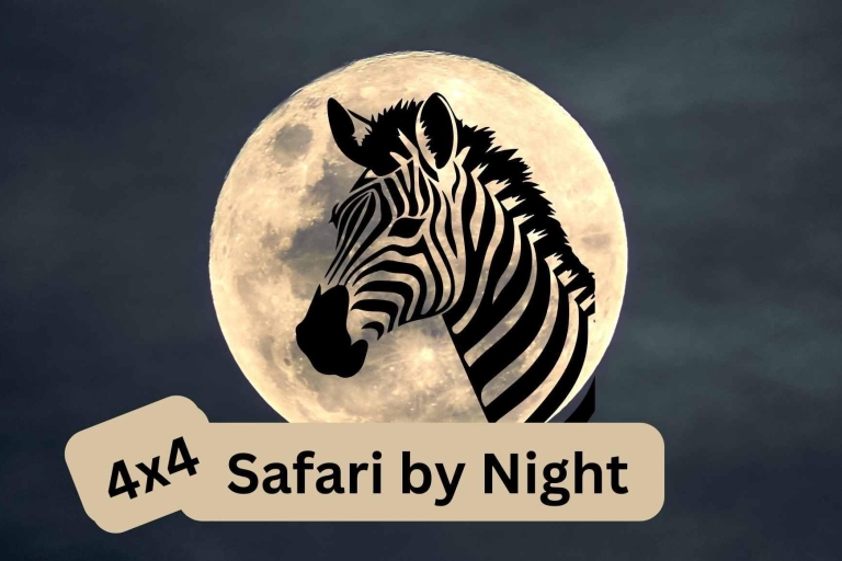 Victoria Falls : Safari de nuit en 4x4 autour de Vic FallsSafari privé de nuit en 4x4
