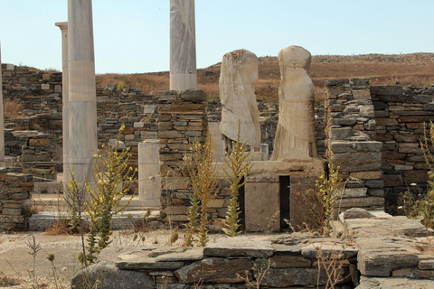 Delos: Única visita guiada de áudio ao sítio arqueológicoDelos: Somente tour guiado por áudio pelo sítio arqueológico