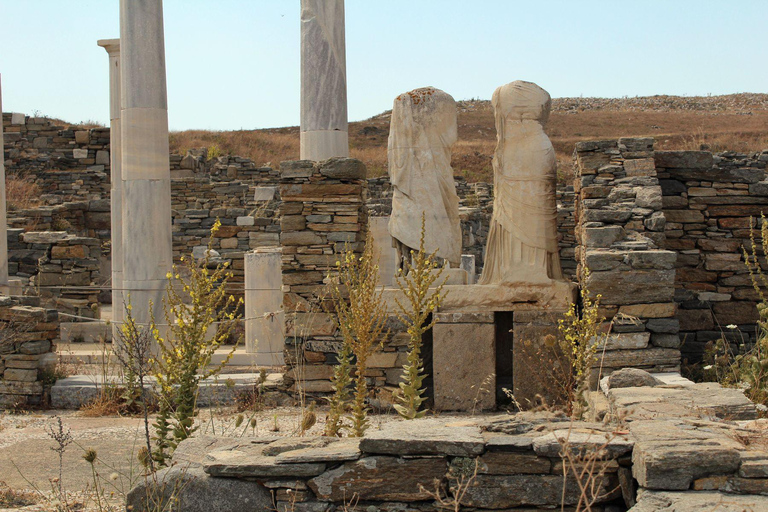 Delos: Nur Audio-geführte Führung durch die archäologische Stätte