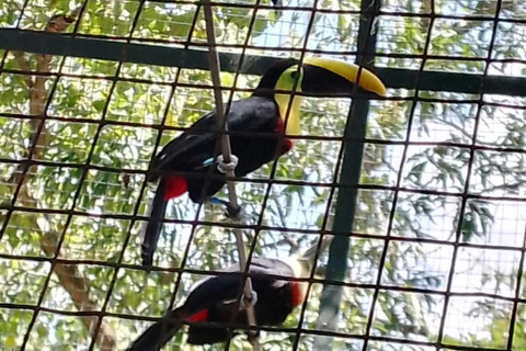 Quito: Zoo Tour with Transportation and Admission or Ticket