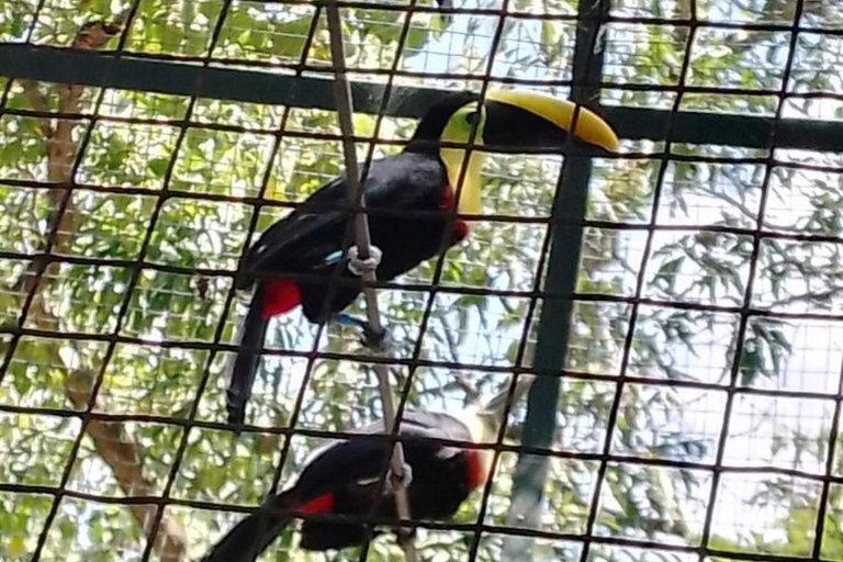 Quito: Zoo Tour with Transportation and Admission or Ticket