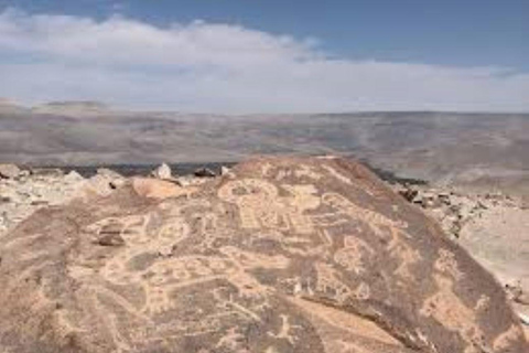 Tour Petroglyphs of Dead Bull and Querullpa