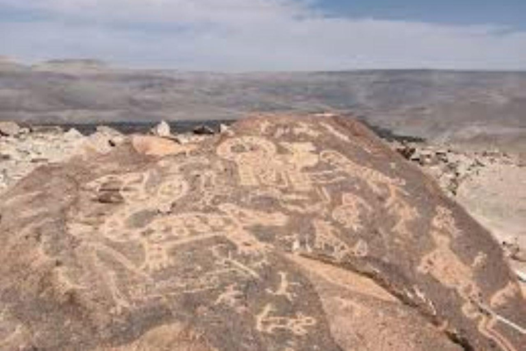 Tour Petroglyphs of Dead Bull and Querullpa