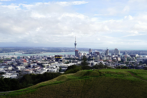 Privat Auckland Best Top 5 Spots Halvdagsutflykt