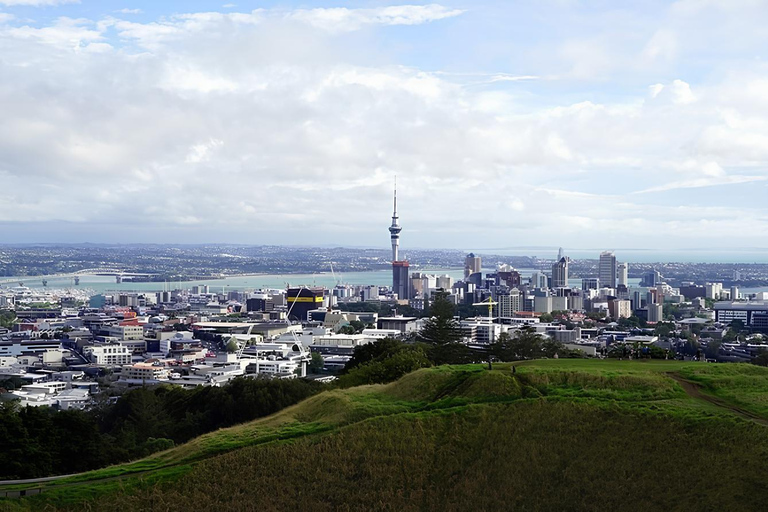 Excursão particular de meio dia para os 5 melhores pontos de Auckland