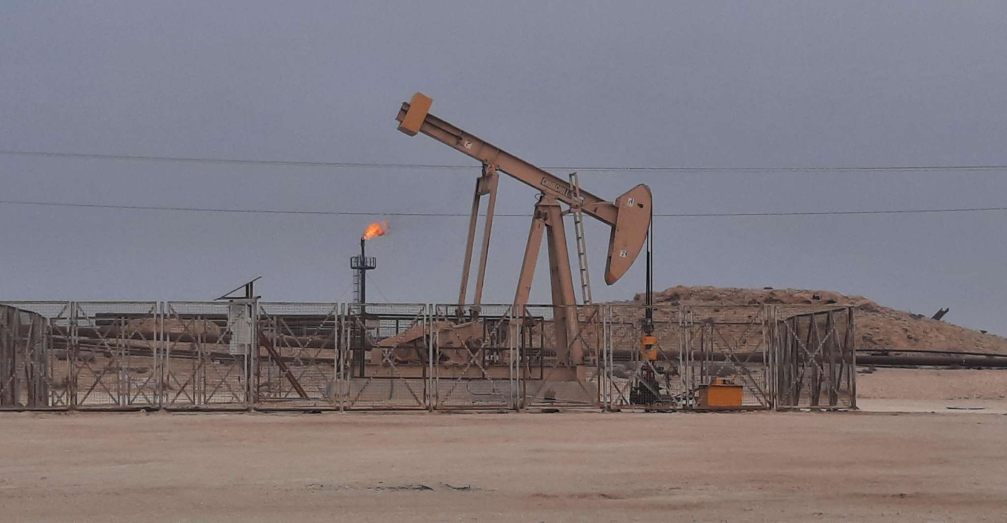 Bahrain Half-Day Desert Tour photo 9