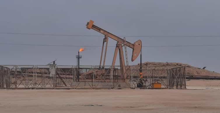 Bahrain Half-Day Desert Tour photo 9