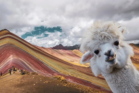 Cusco: Rainbow Mountain Transportation and Guided Hike Shared Flexible Transport & Guide Rainbow With Red Valley