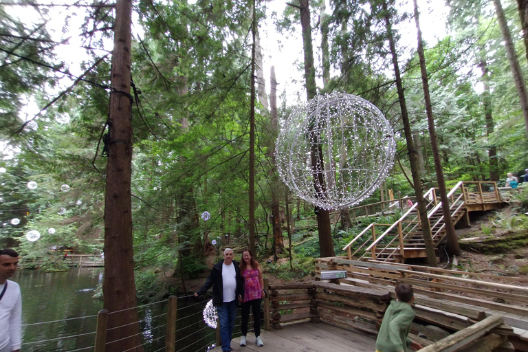 Puente colgante de Capilano/Tour privado en coche/Precio garantizado