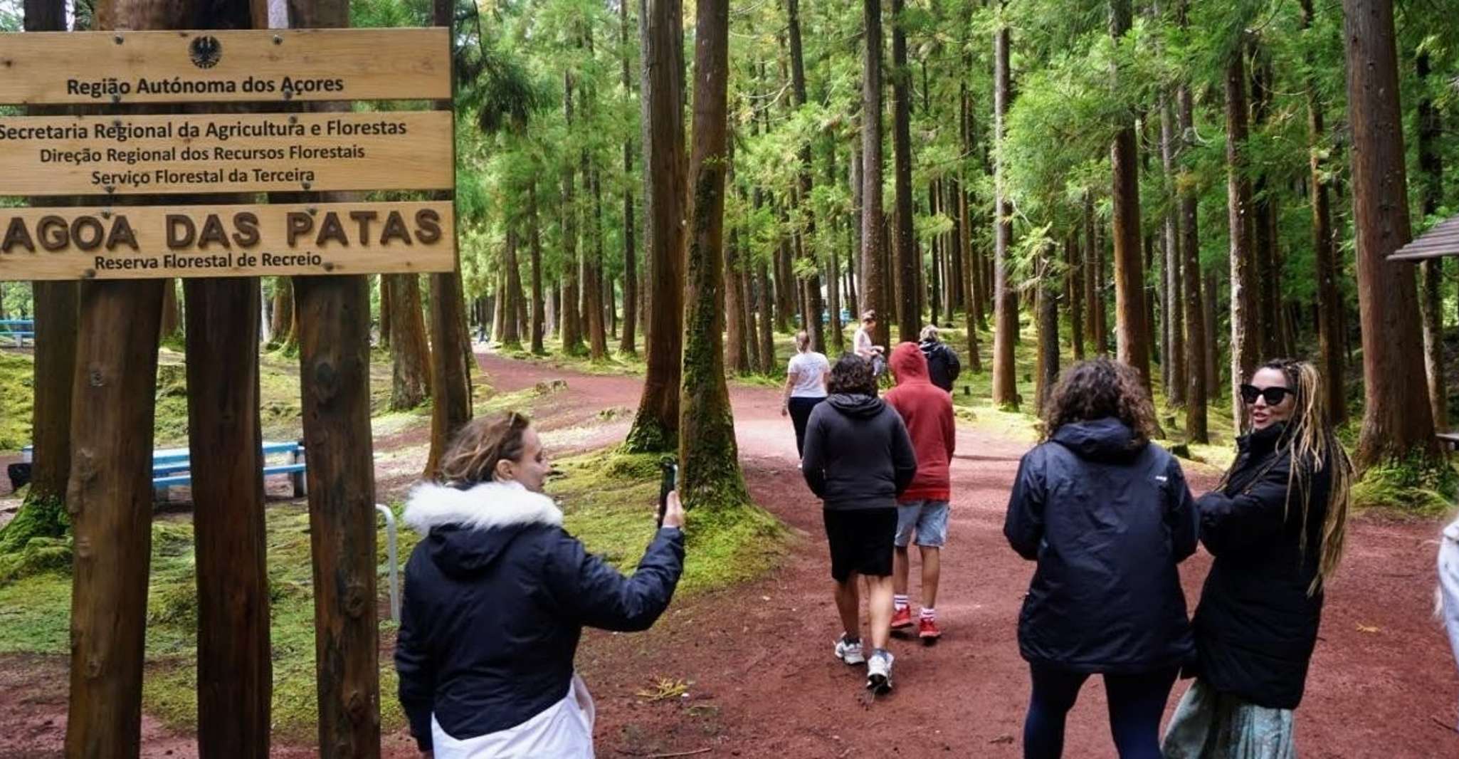 Terceira Island, Algar do Carvão - The Caves Tour - Housity