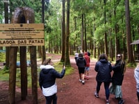 Terceira Island, Algar do Carvão - The Caves Tour - Housity
