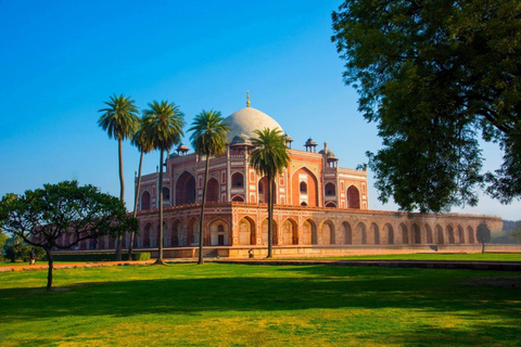 Delhi: Private Full or half Day City Tour of Old & New Delhi Full-Day Old and New Delhi Tour (Car, Guide, Ticket, Lunch)