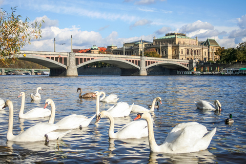 Praag: Panoramische rondvaart over de Moldau, 1 uur