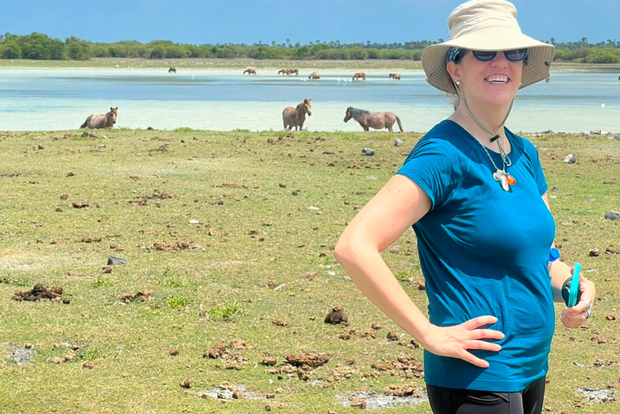 Jaffna - Delft e isola di Nainativu: tour con guida locale