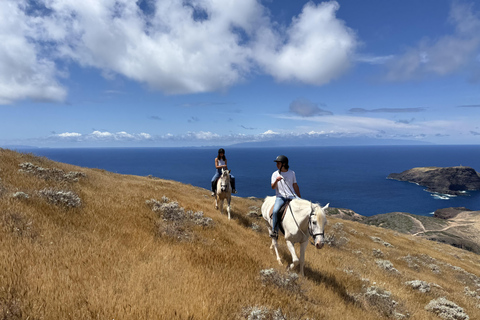 Isla de Porto Santo: Paseos a caballo180 min Aventura