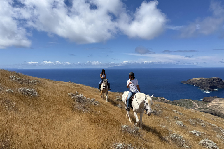 Isla de Porto Santo: Paseos a caballo180 min Aventura
