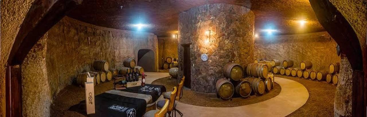 Von Tijuana aus: Valle de Guadalupe Shared Winery Tour
