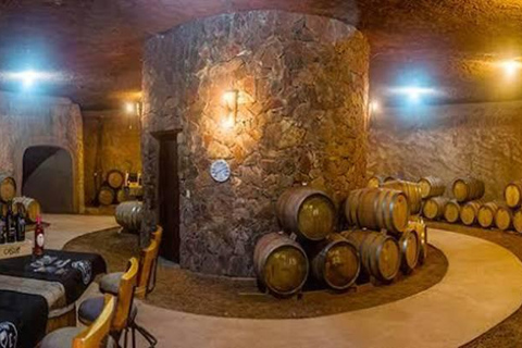 Från Tijuana: Valle de Guadalupe delad vingårdstur