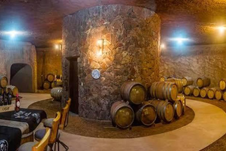 From Tijuana: Valle de Guadalupe Shared Winery Tour