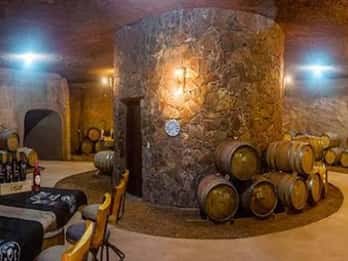 Depuis Tijuana : Valle de Guadalupe : visite partagée d'un vignoble
