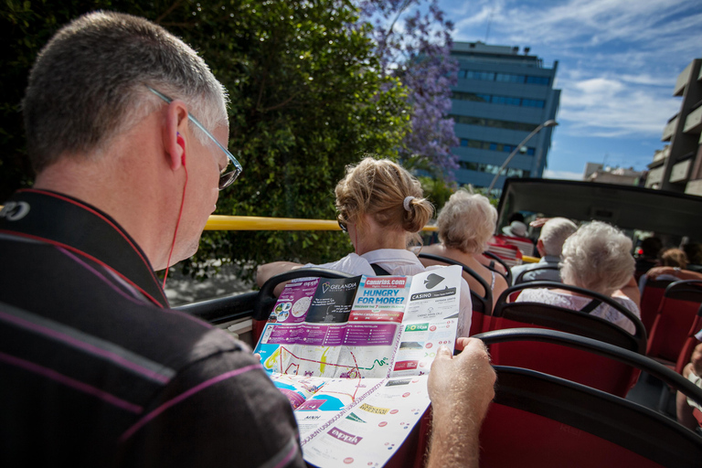 City Sightseeing: Santa Cruz de Tenerife HOHO Bus Tour 24-Hour Hop-On Hop-Off Bus Tour