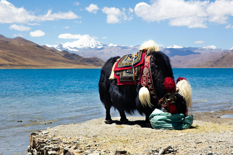From Kathmandu-8-Day Tibet and Everest Base Camp Tour