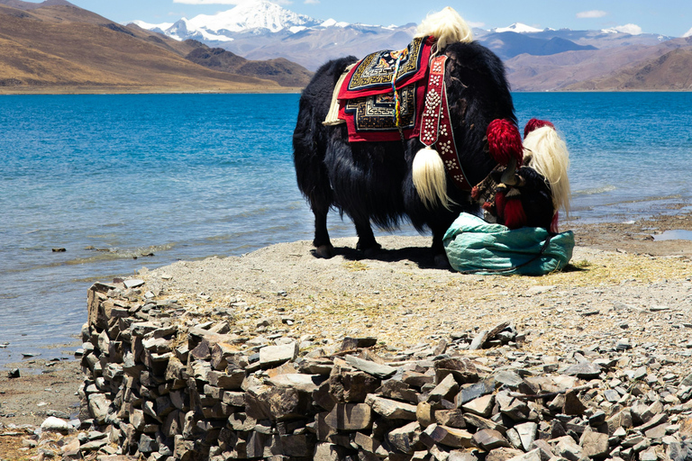 From Kathmandu-8-Day Tibet and Everest Base Camp Tour