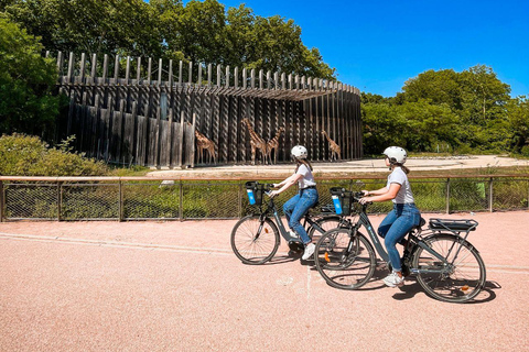 Rent an electric bike for the day in Lyon (+4h)